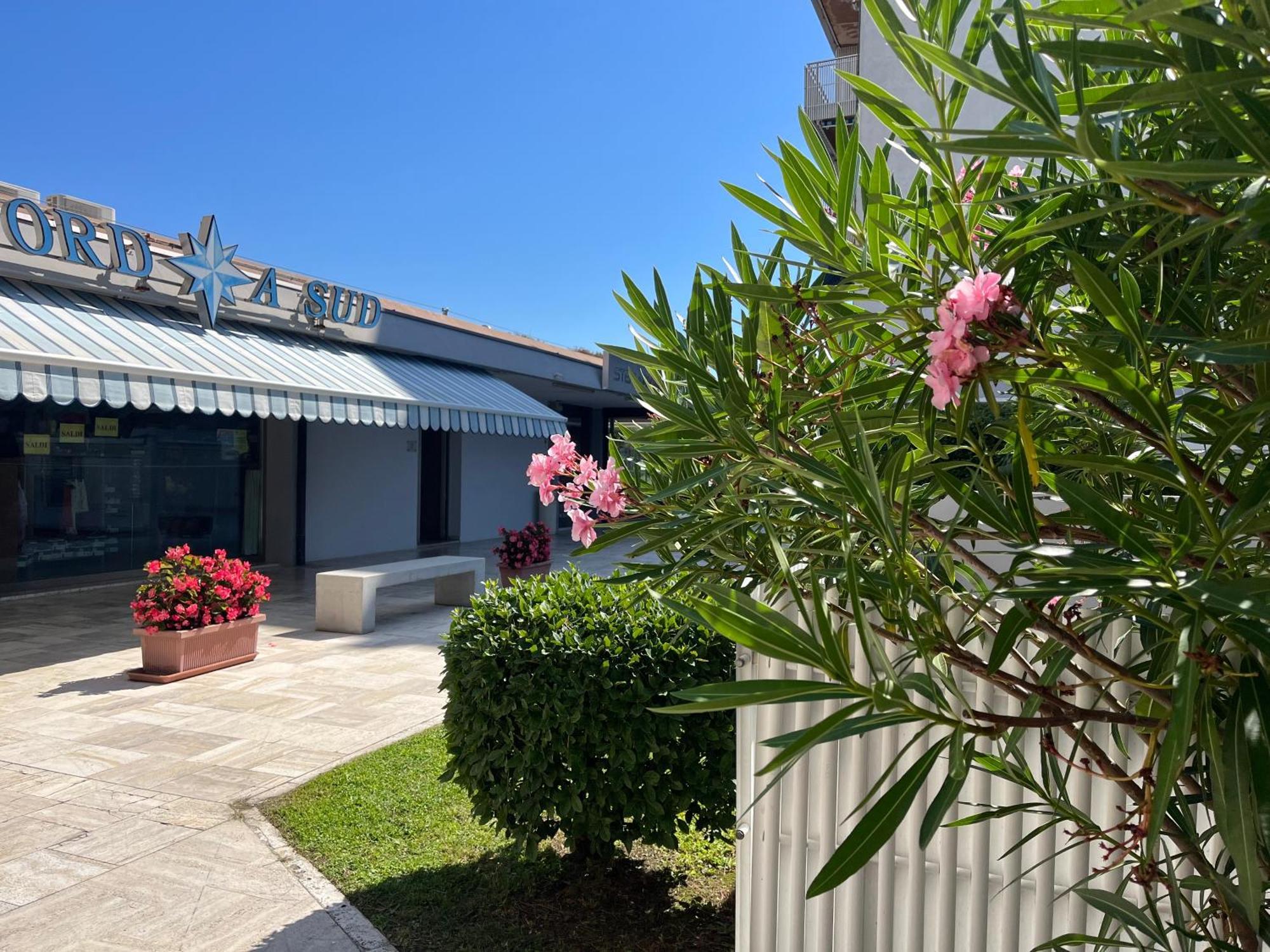 Signora Ruth - Aprilia Residence Aprilia Marittima Exterior photo